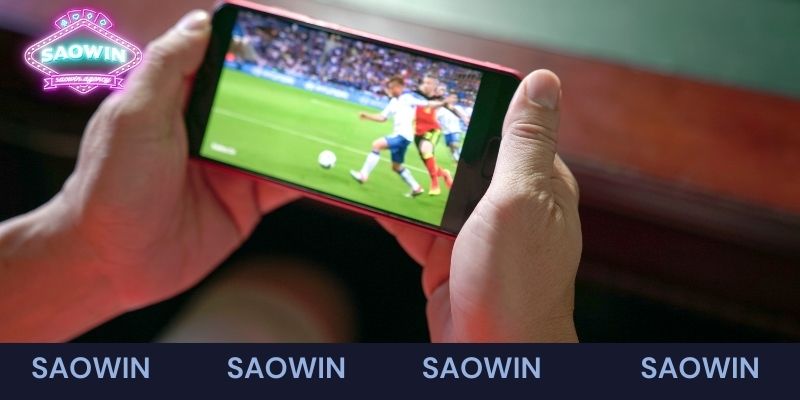 Khái quát thông tin về sảnh thể thao Saowin